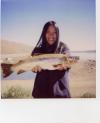 brown trout fish