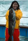 lingcod fish