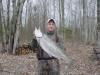 16# brown trout fish