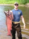 King Salmon fish