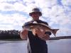JONNY RED fish