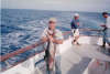 Yellow Fin fish