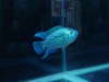 IT"S ELECTRIC fish