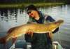 52" Northern Pike fish