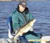 82cm zander fish