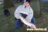 arie with pike fish