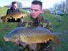 dutch carps fish