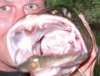 lets see whats in it!! fish
