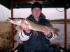 pike fish