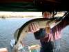 its me fish