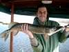 brouwer fish