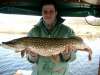 another huge monster fish