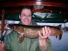 small pike fish