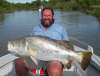 50lb Barramundi fish