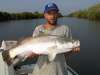Billabong Barra fish