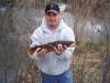 Nice Brown fish