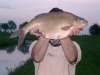 its a fish??