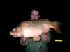 carp fish