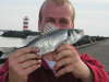 zeebaars ;) fish
