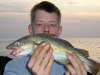 ferry fish