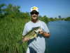 bass fish