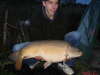mirror/leather fish