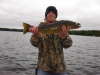 Walleye fish