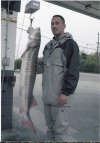 Sturgeon fish