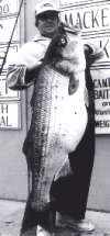 world record striper fish