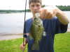 blackcrappie fish