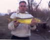 5lb pickerel fish