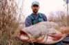 nice catfish