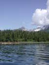 Galena Bay (Valdez narrows, Alaska) fish