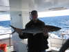 king mackrel fish