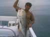 42lb jack fish
