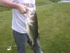 Largemouth bass nice size fish