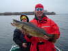 Walleye fish