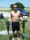 small cats noodling fish