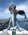 Wahoo  !! fish