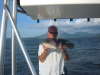 Guapote fish