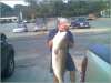 58lb Cow fish