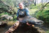 Patagonian King Salmon 2 fish