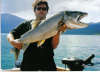 46" Lake Trout fish