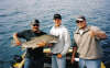 yee haa fish