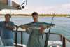 11 Pound King fish