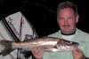 Good snook fish