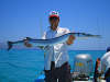 Giant Mexican Needlefish