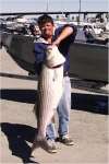 big bass fish