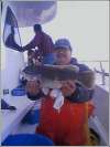 big blackfish
