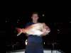 7kg Snapper fish